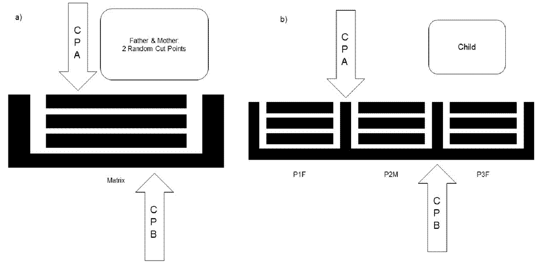 Enhancing Multiple Sequence Alignment with Genetic Algorithms: A ...