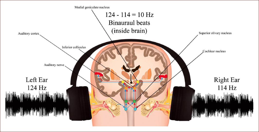 Isolere kalorie pegs Effects of binaural beats and isochronic tones on brain wave modulation:  Literature review