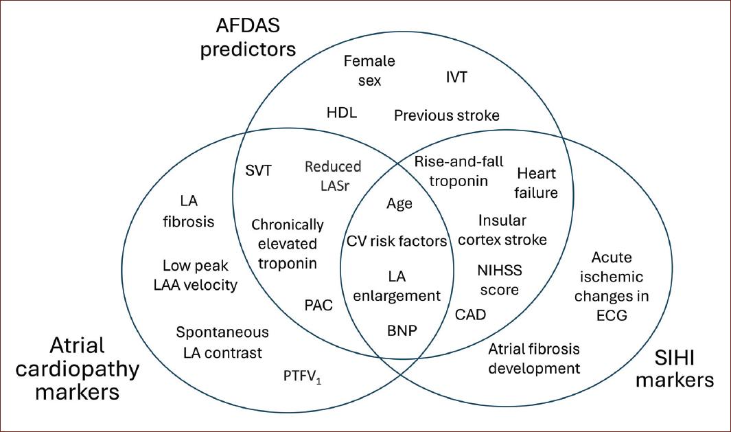 A review on the spectrum of atrial fibrillation detected after a stroke