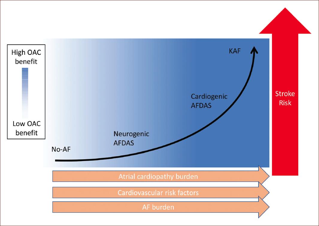 A review on the spectrum of atrial fibrillation detected after a stroke