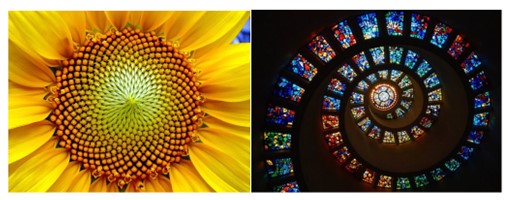 
							Un girasol y la capilla de Acción de Gracias en Dallas
						