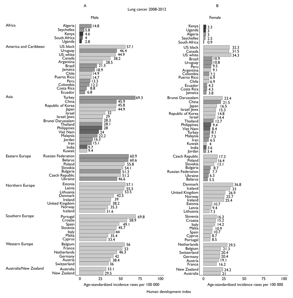 The descriptive epidemiology of lung cancer and tobacco control: a ...