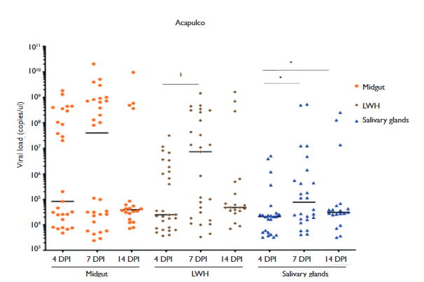Experimental infection and vector competence of Zika virus in Aedes ...