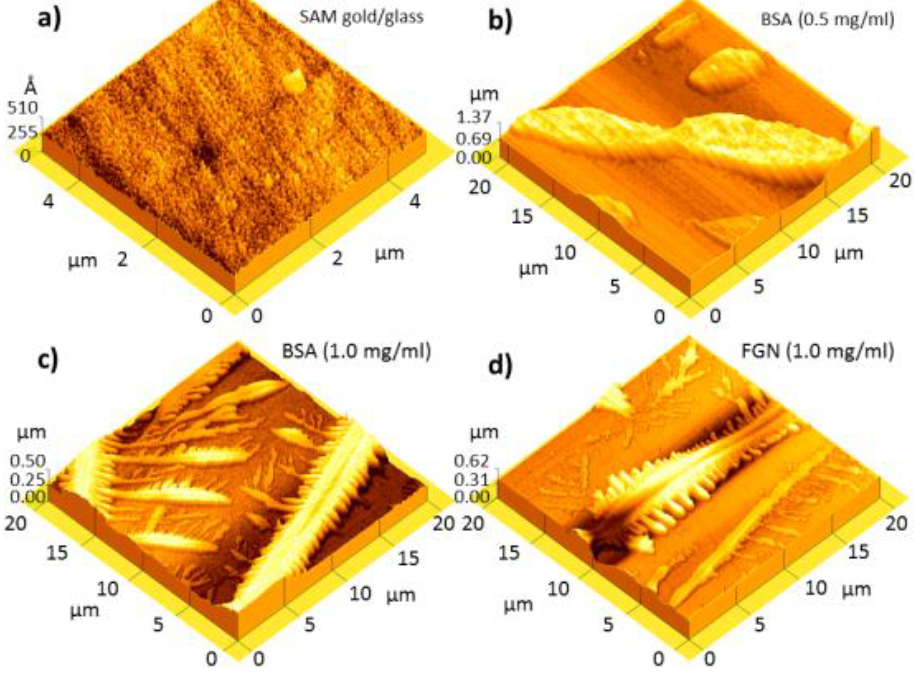 Microstructure Pattern Afm Structural characterization of protein microsensors arrays by means of ...