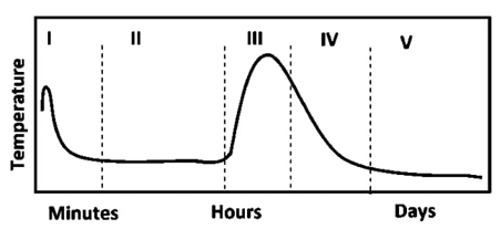 Concrete Setting Time Graph Method for measuring the setting process of cement-water mixtures by ...