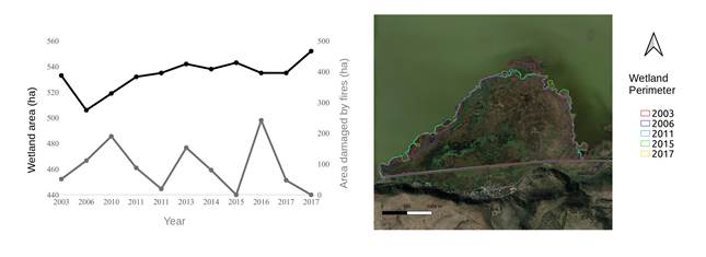 
						Total area and area damaged by fire in the eastern section of the Cuitzeo lake wetlands from 2003-2017
					