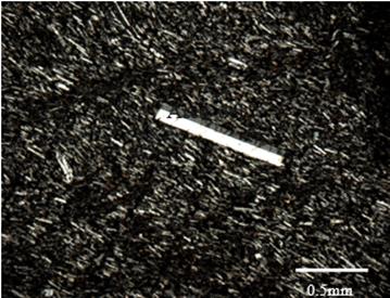 
								Sección delgada microscópica de roca basáltica en una escala de 0.5 mm.
							