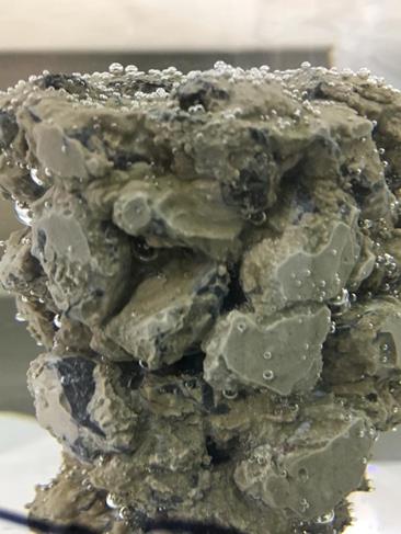 
								Descalcificación del concreto permeable expuesto a As, Cd y Zn.
							