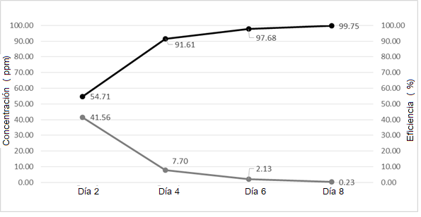 
								Mediciones de concentración de arsénico (línea inferior) y eficiencia de retención (línea superior) con concreto.
							