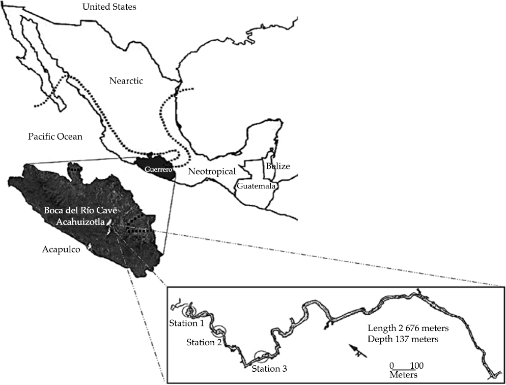 Cave macroinvertebrates used as bioindicators of water quality