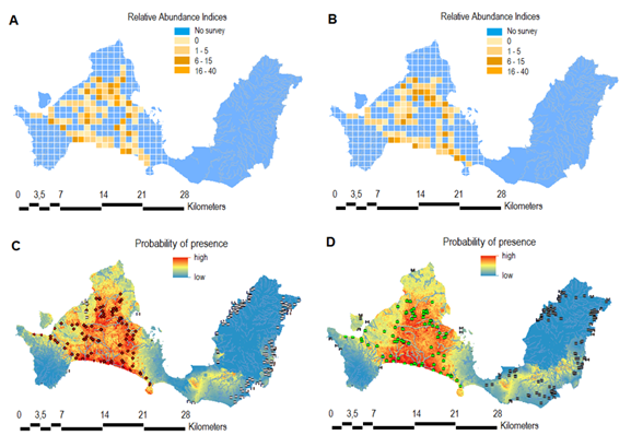 Ecological niche and potential distribution of the endangered Bos ...
