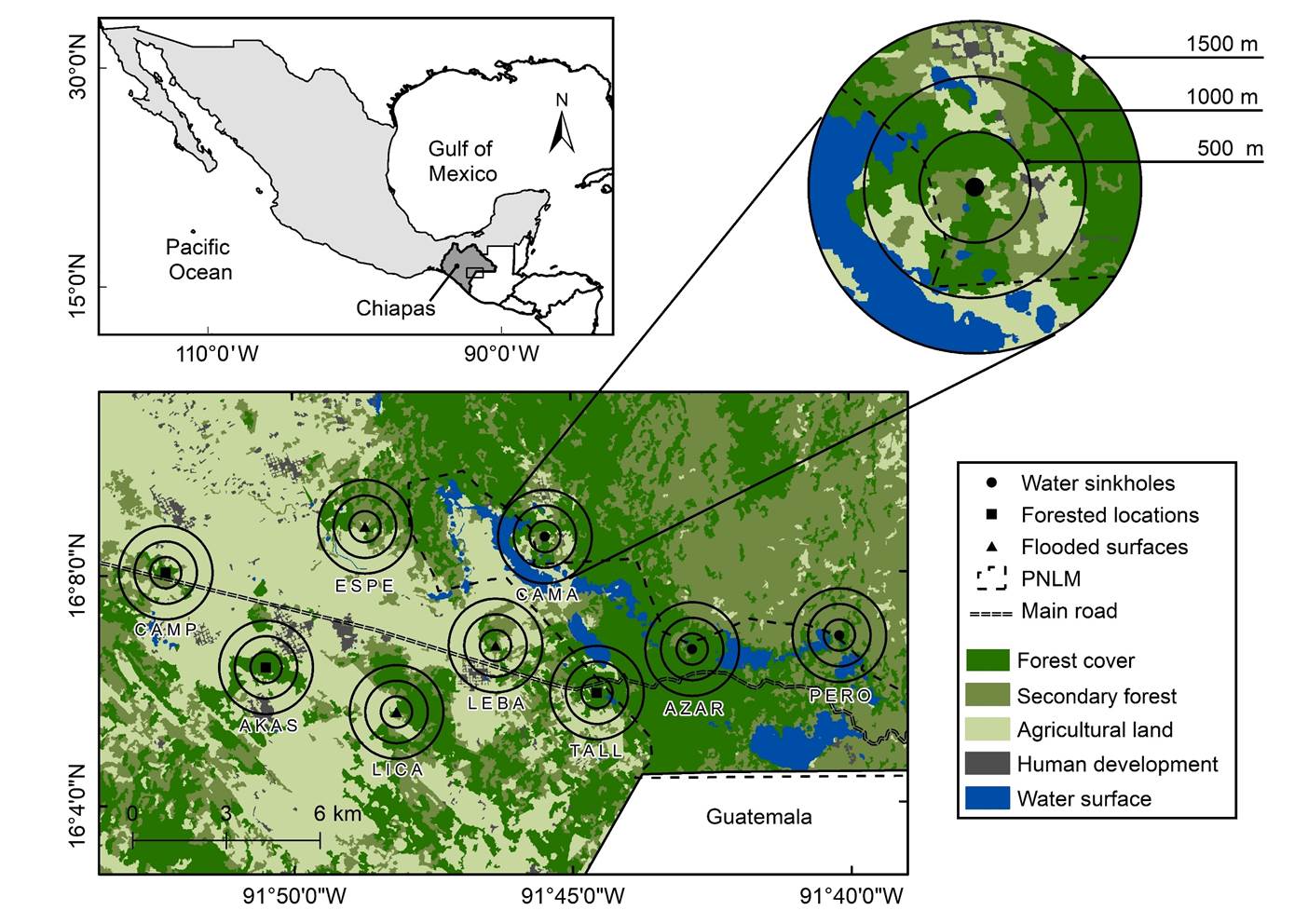 
						Map of the study area in Chiapas, México. We identify sampling points
							by different symbols, surrounded by concentric buffers in which we
							calculated land covers amounts.
					