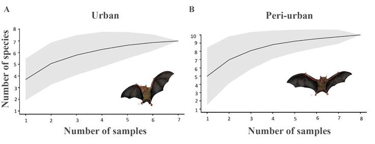 Chiropteran diversity and diet of fruit bats in a tropical dry forest ...