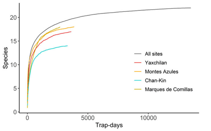 Community of medium and large-sized mammals and functional diversity in ...