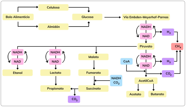 Metagenómica y metatranscriptómica para mitigar las emisiones de metano ...