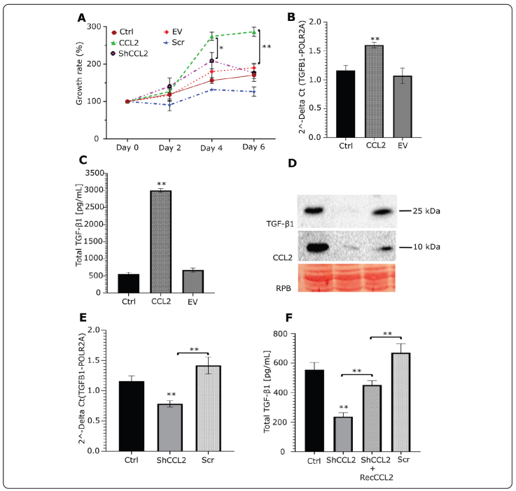 Exposure to cigarette smoke extract induces proliferation and ...