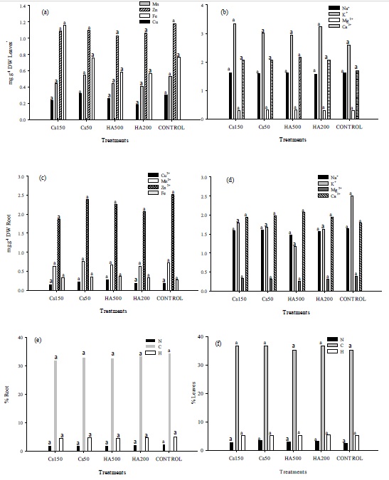 Impact of Humic Acids and Chitosan on the Ionic Composition of the Soil ...
